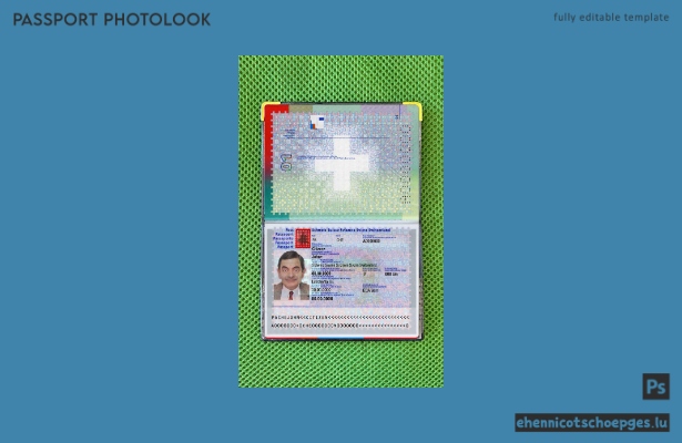 Beispielansicht für ein Schweizer Passfoto